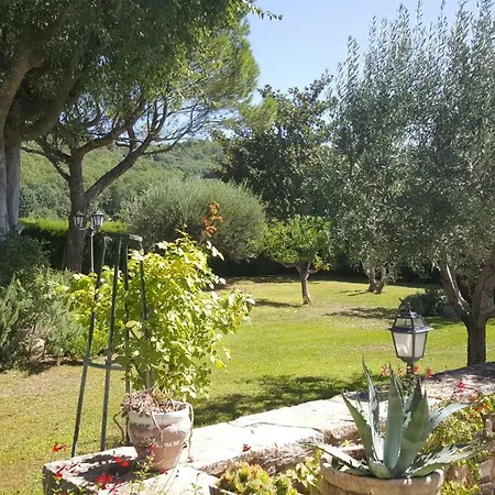 Les Chenes Verts Villa